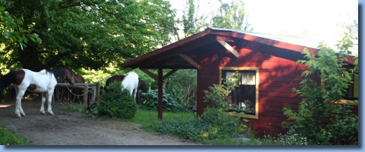 Horses in front of cabin at Antilco, the horse riding ranch in Chile